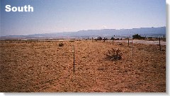 Looking to the South